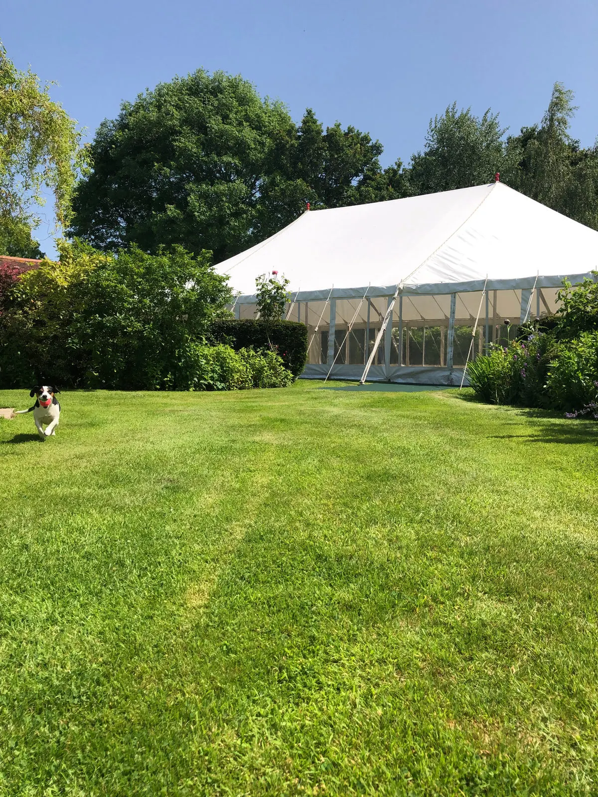 Marquee in a garden glimpsed across a lawn