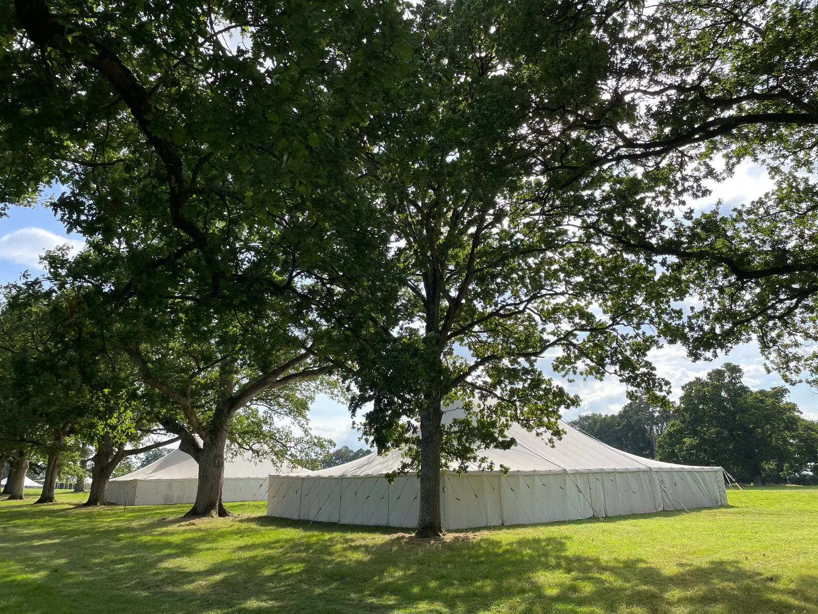 Marquees pitched beneath mature oak trees
