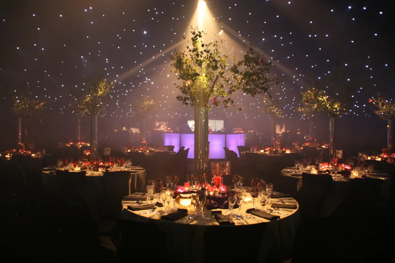 Starlit ceiling with a lit tree centrepiece